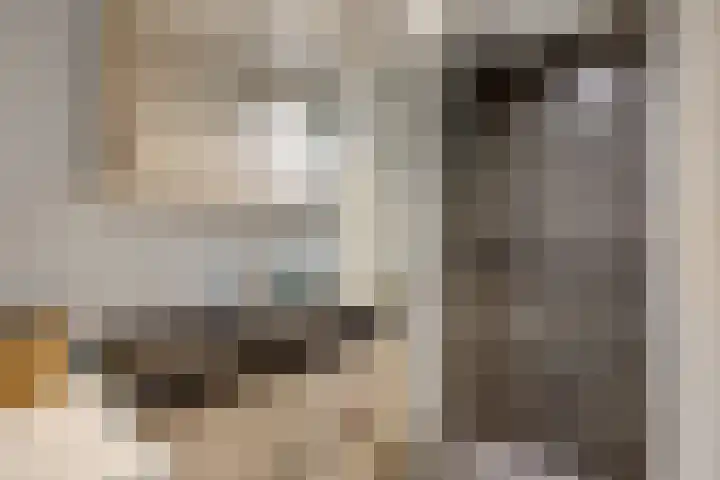 Tolsteegplantsoen 43 Utrecht thumbnail 18
