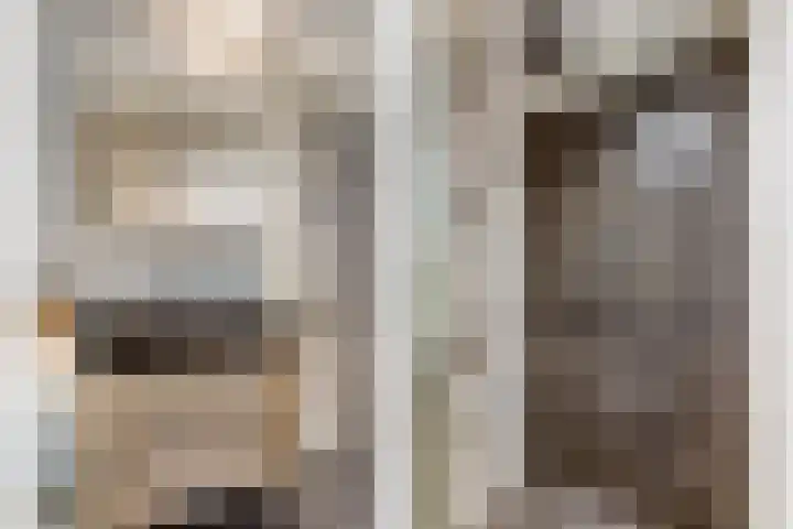 Tolsteegplantsoen 43 Utrecht thumbnail 19