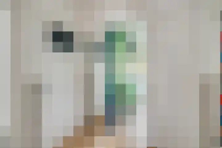 Tolsteegplantsoen 43 Utrecht thumbnail 20