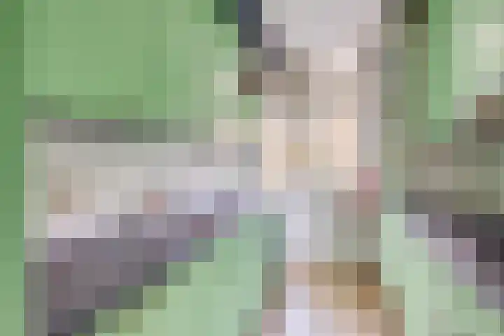 Tolsteegplantsoen 43 Utrecht thumbnail 21