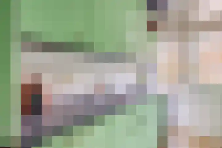 Tolsteegplantsoen 43 Utrecht thumbnail 22