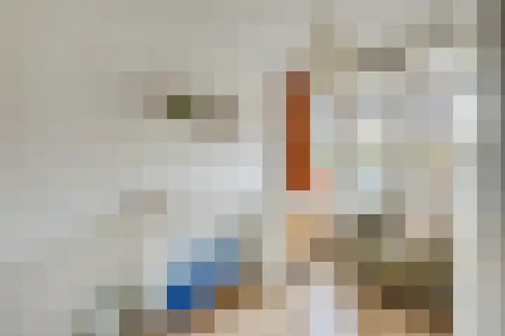 Tolsteegplantsoen 43 Utrecht thumbnail 26