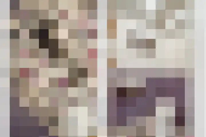 Tolsteegplantsoen 43 Utrecht thumbnail 29