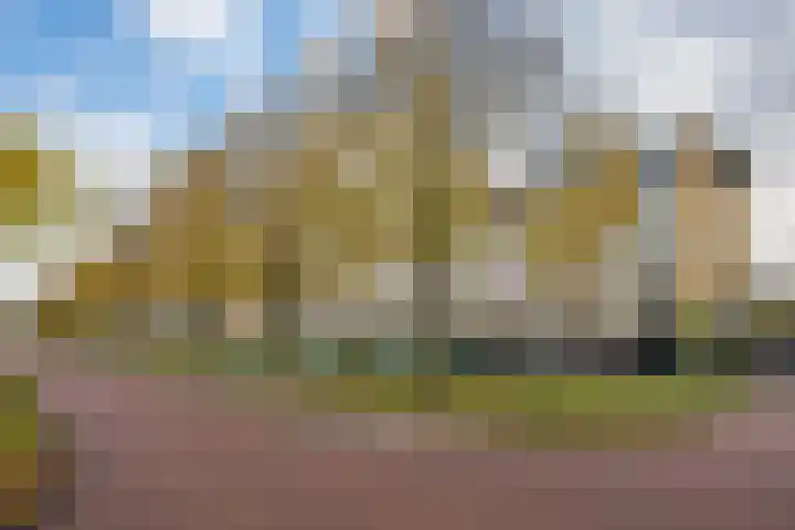 Tolsteegplantsoen 43 Utrecht thumbnail 30