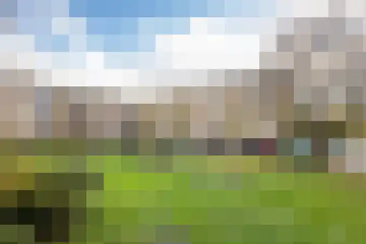 Tolsteegplantsoen 43 Utrecht thumbnail 31