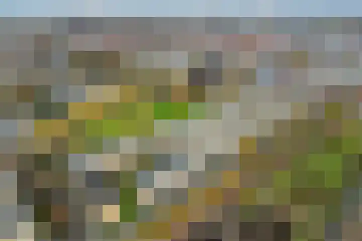 Tolsteegplantsoen 43 Utrecht thumbnail 33