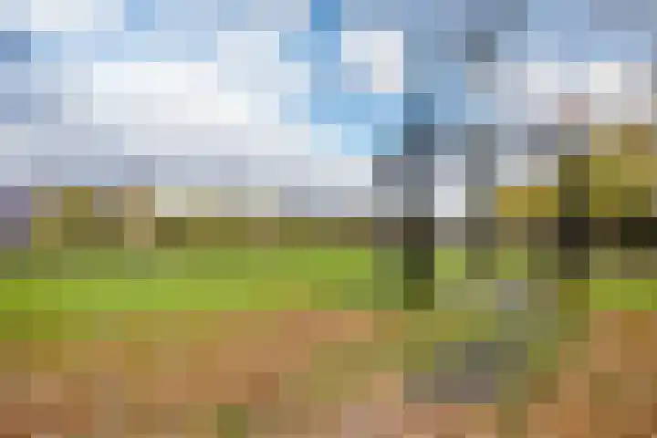 Tolsteegplantsoen 43 Utrecht thumbnail 34