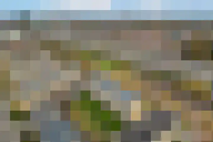 Tolsteegplantsoen 43 Utrecht thumbnail 35