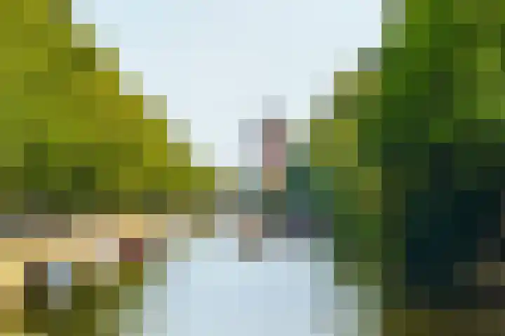 Tolsteegplantsoen 43 Utrecht thumbnail 36