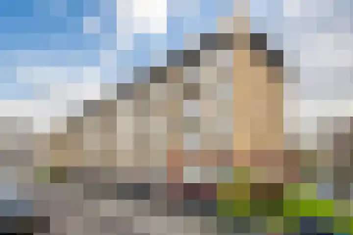 Tolsteegplantsoen 43 Utrecht thumbnail 4