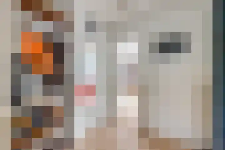 Tolsteegplantsoen 43 Utrecht thumbnail 5