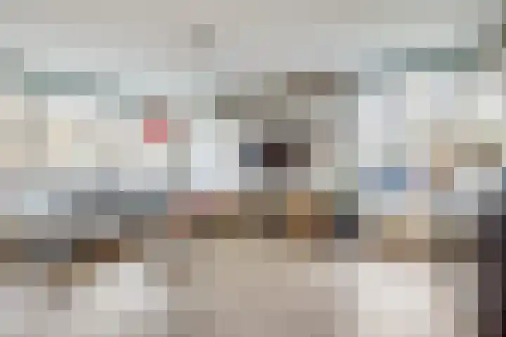 Tolsteegplantsoen 43 Utrecht thumbnail 6