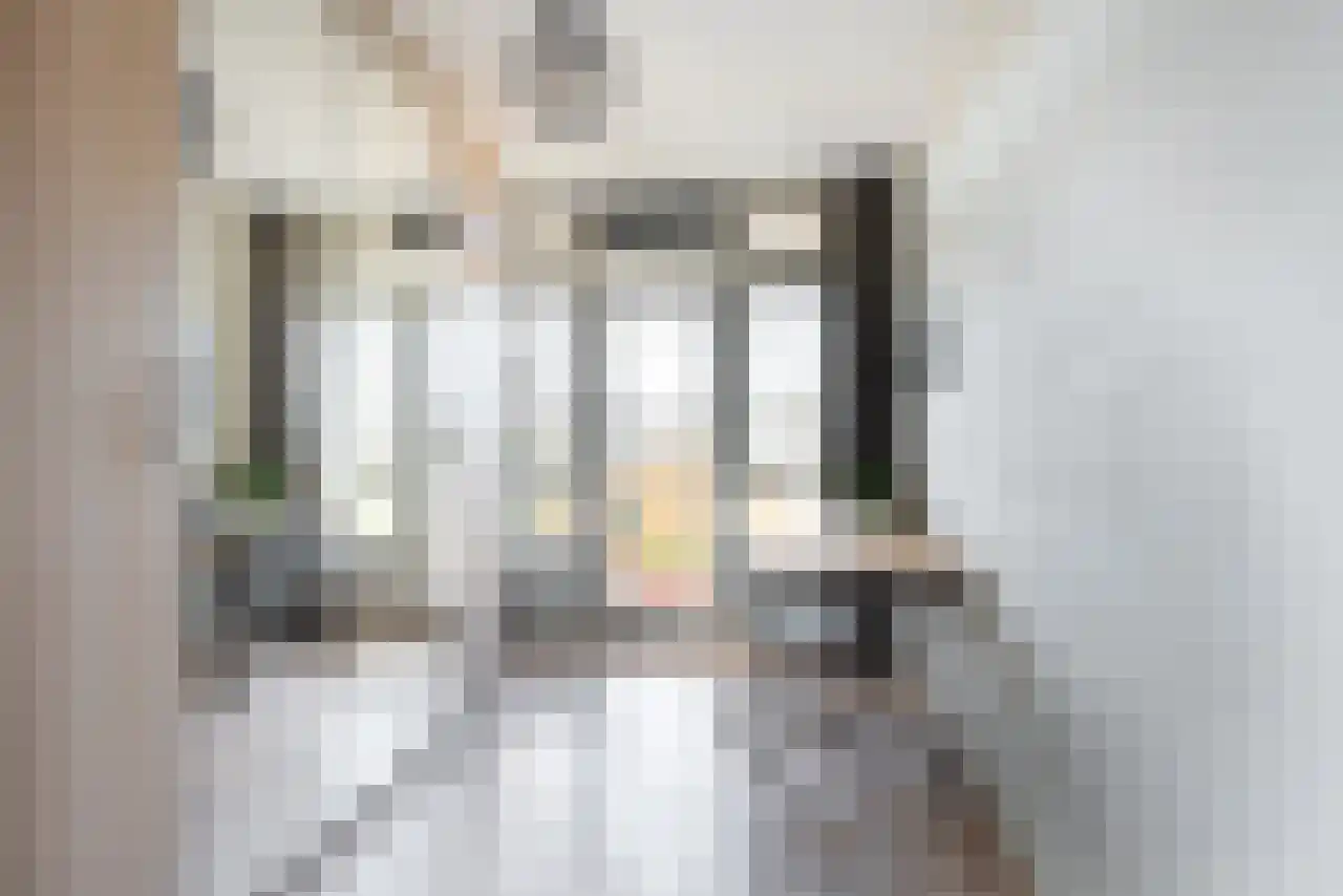 Tolsteegplantsoen 47 3 Utrecht thumbnail 25
