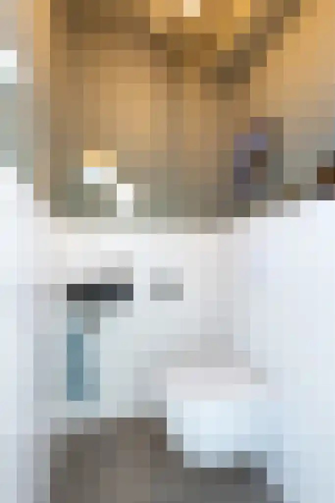 Tolsteegplantsoen 47 3 Utrecht thumbnail 26