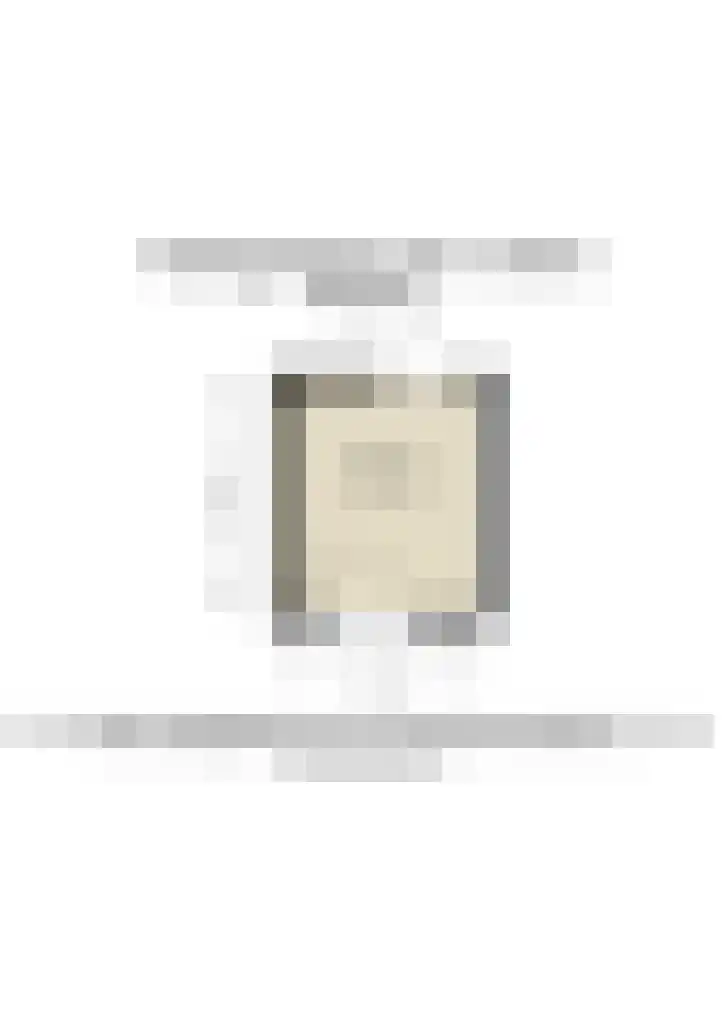 Tolsteegplantsoen 47 3 Utrecht thumbnail 38