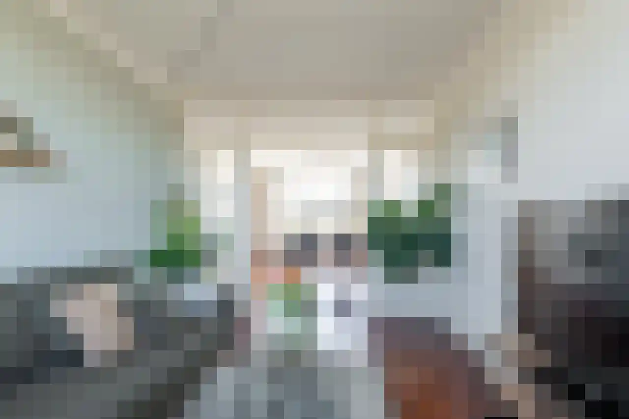Tolsteegplantsoen 47 3 Utrecht thumbnail 7