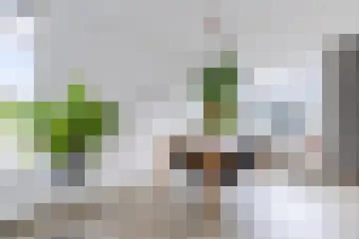 Tolsteegplantsoen 49 3 Utrecht thumbnail 10