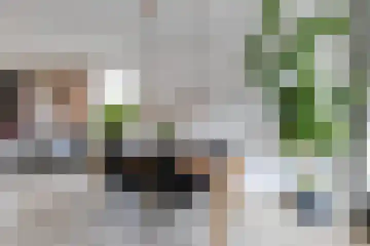 Tolsteegplantsoen 49 3 Utrecht thumbnail 11