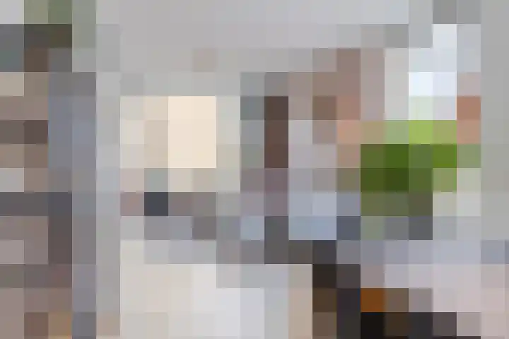 Tolsteegplantsoen 49 3 Utrecht thumbnail 12