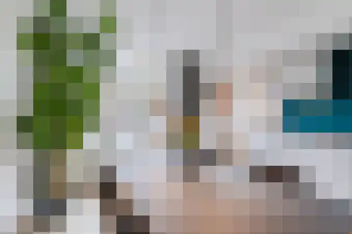 Tolsteegplantsoen 49 3 Utrecht thumbnail 13