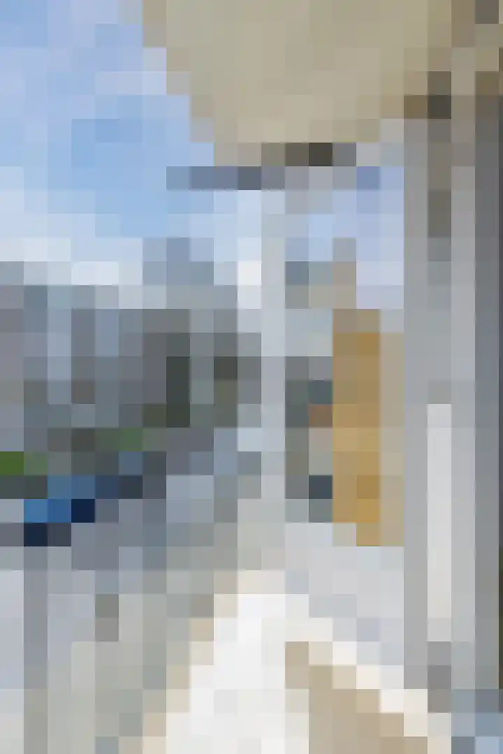 Tolsteegplantsoen 49 3 Utrecht thumbnail 20