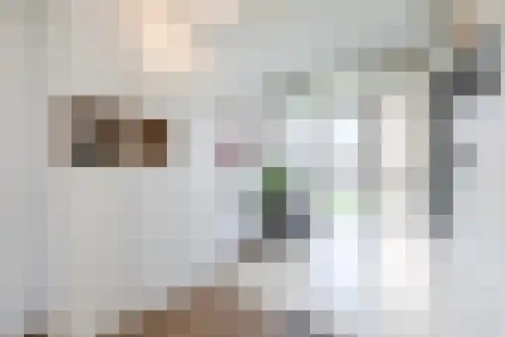 Tolsteegplantsoen 49 3 Utrecht thumbnail 28