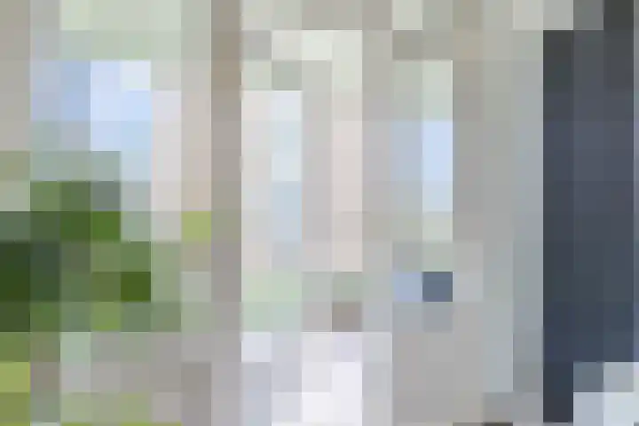 Tolsteegplantsoen 49 3 Utrecht thumbnail 30
