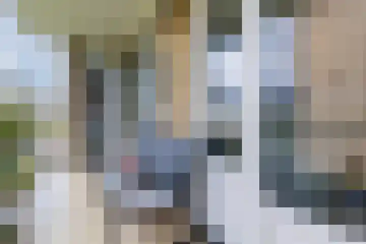 Tolsteegplantsoen 49 3 Utrecht thumbnail 31