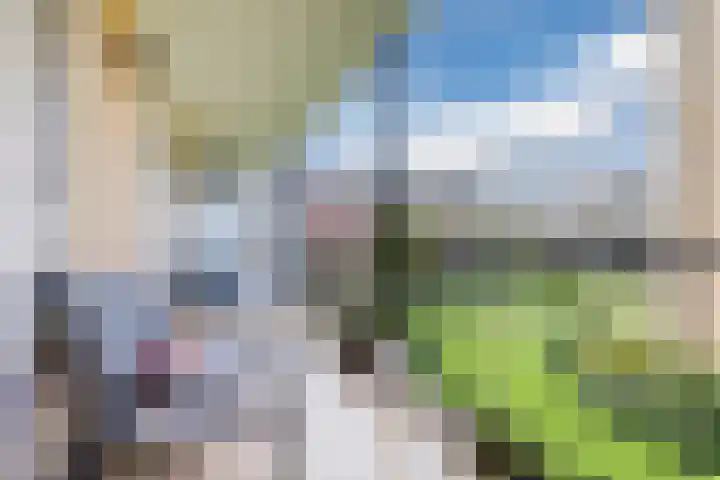 Tolsteegplantsoen 49 3 Utrecht thumbnail 33