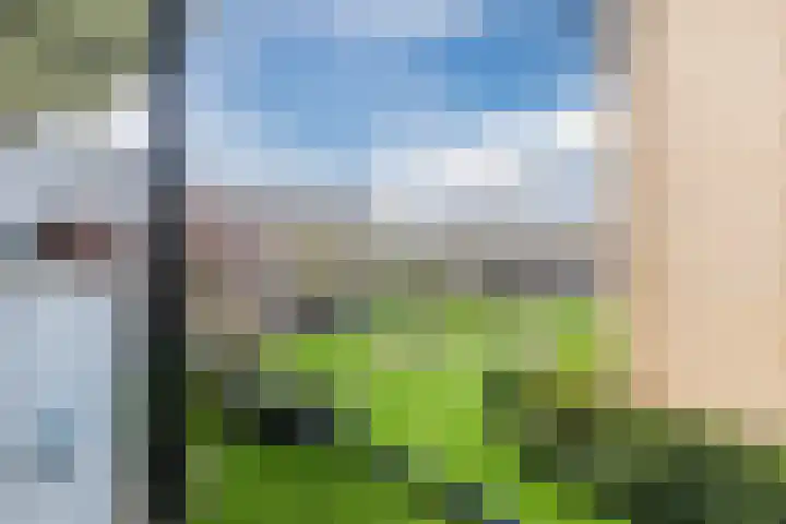 Tolsteegplantsoen 49 3 Utrecht thumbnail 34