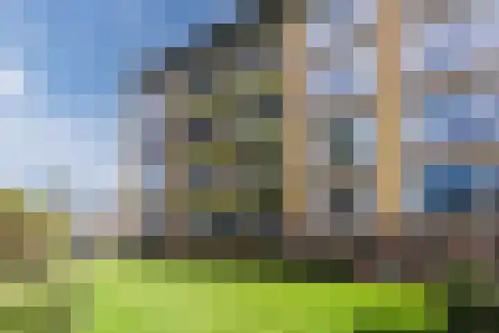 Tolsteegplantsoen 49 3 Utrecht thumbnail 38