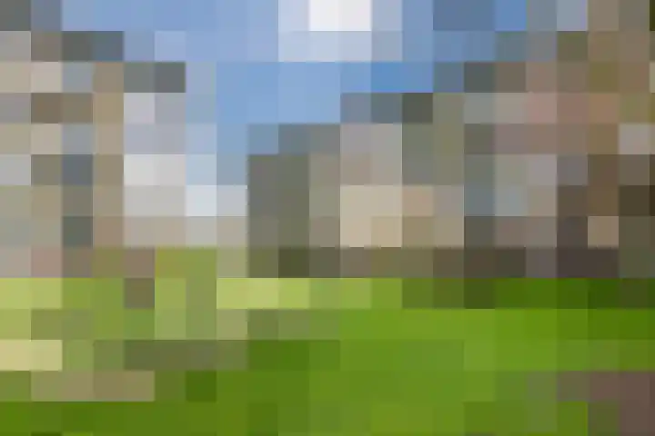 Tolsteegplantsoen 49 3 Utrecht thumbnail 39