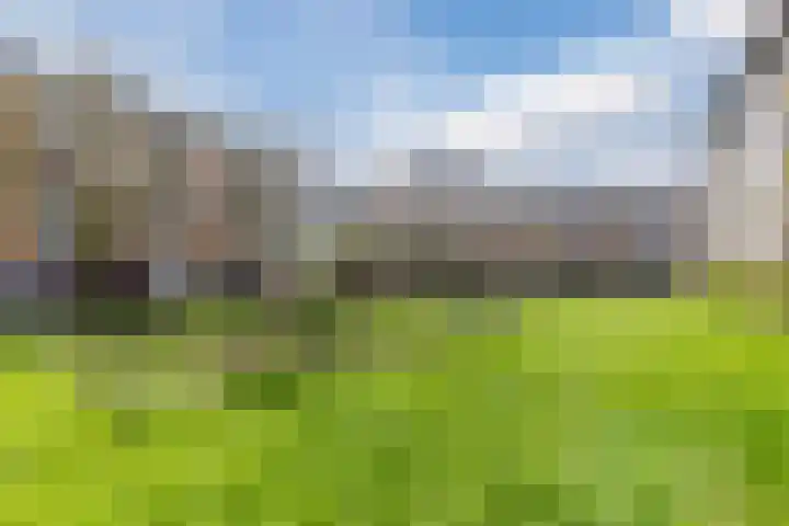 Tolsteegplantsoen 49 3 Utrecht thumbnail 43