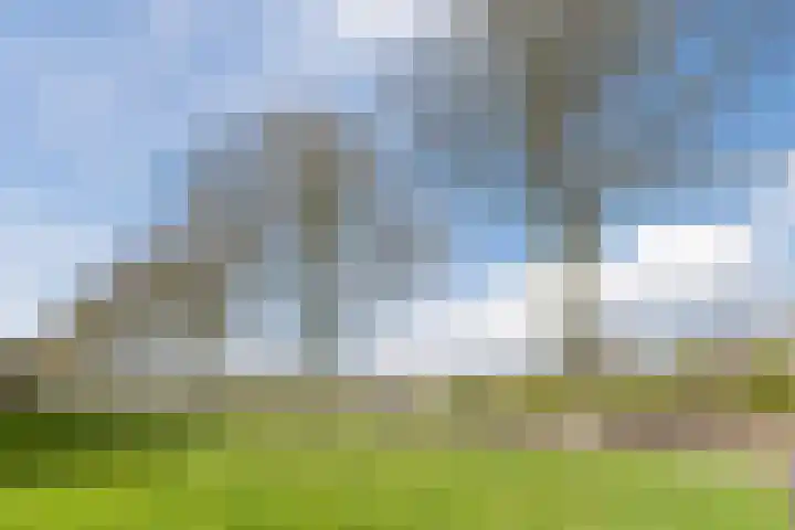 Tolsteegplantsoen 49 3 Utrecht thumbnail 44