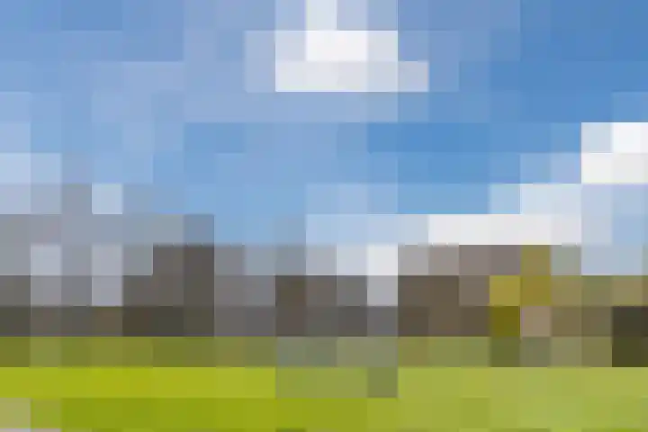 Tolsteegplantsoen 49 3 Utrecht thumbnail 46