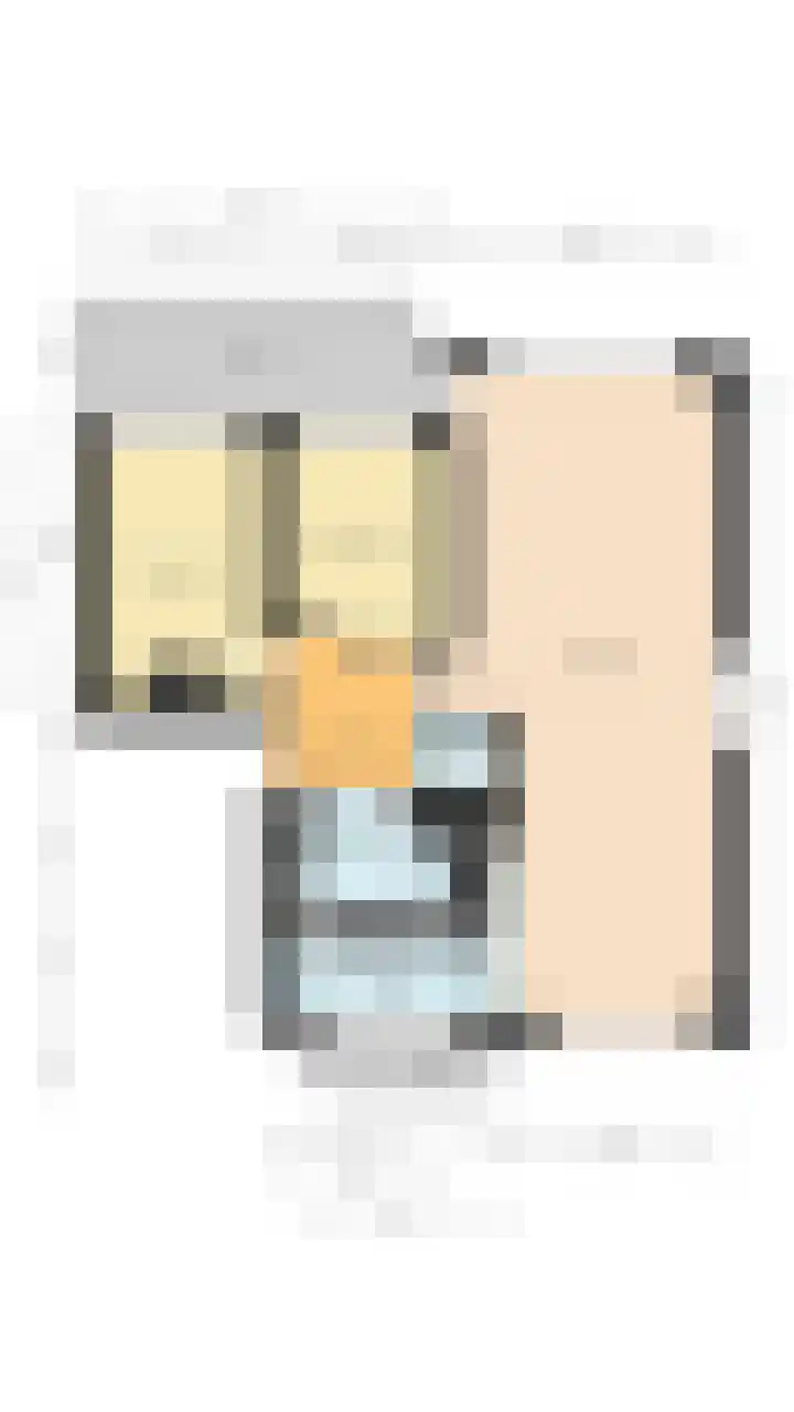 Tolsteegplantsoen 49 3 Utrecht thumbnail 47