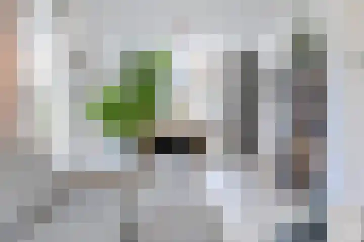 Tolsteegplantsoen 49 3 Utrecht thumbnail 9