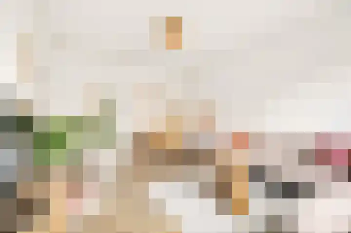 Tolsteegplantsoen 5 Utrecht thumbnail 11