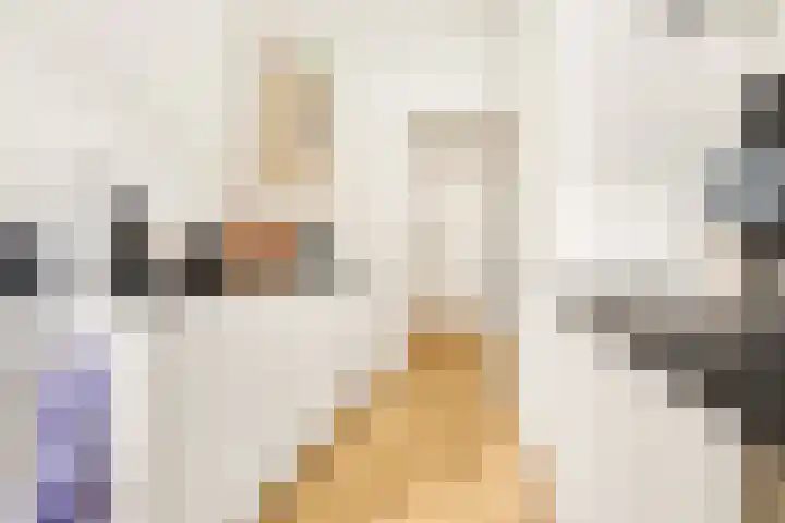 Tolsteegplantsoen 5 Utrecht thumbnail 18