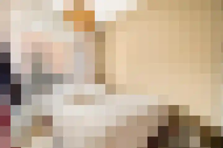 Tolsteegplantsoen 5 Utrecht thumbnail 20