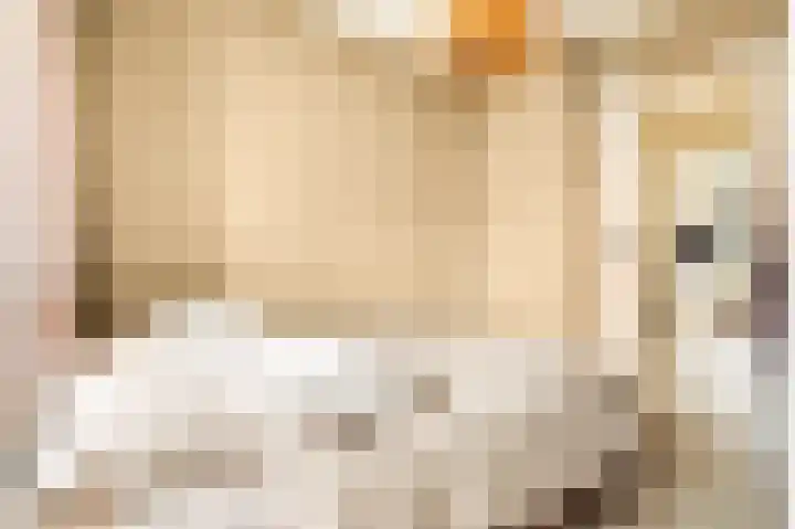 Tolsteegplantsoen 5 Utrecht thumbnail 21