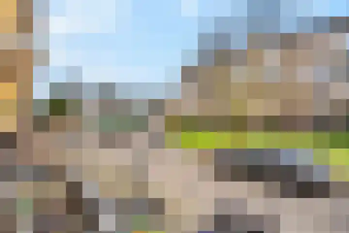 Tolsteegplantsoen 5 Utrecht thumbnail 29