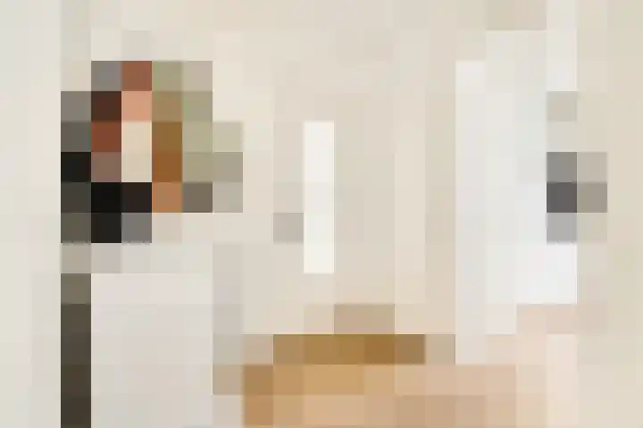 Tolsteegplantsoen 5 Utrecht thumbnail 5