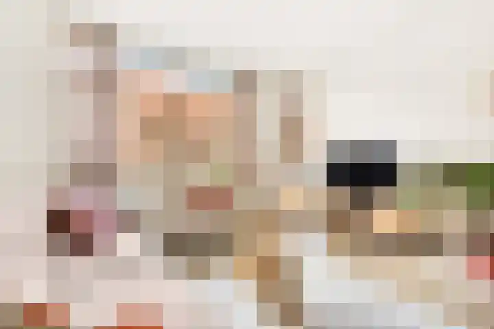 Tolsteegplantsoen 5 Utrecht thumbnail 7