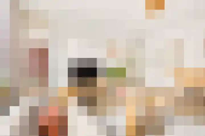 Tolsteegplantsoen 5 Utrecht thumbnail 8