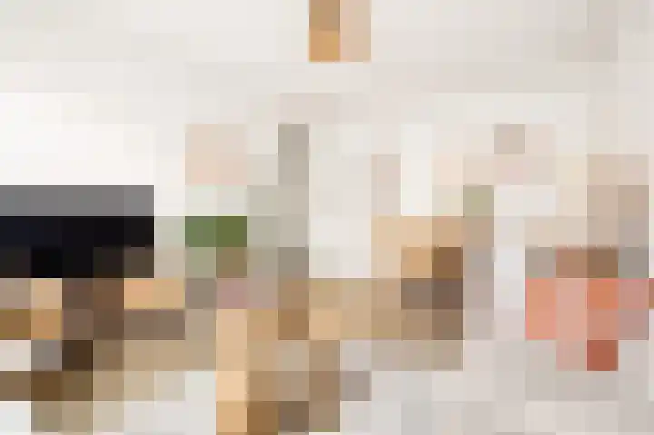 Tolsteegplantsoen 5 Utrecht thumbnail 9