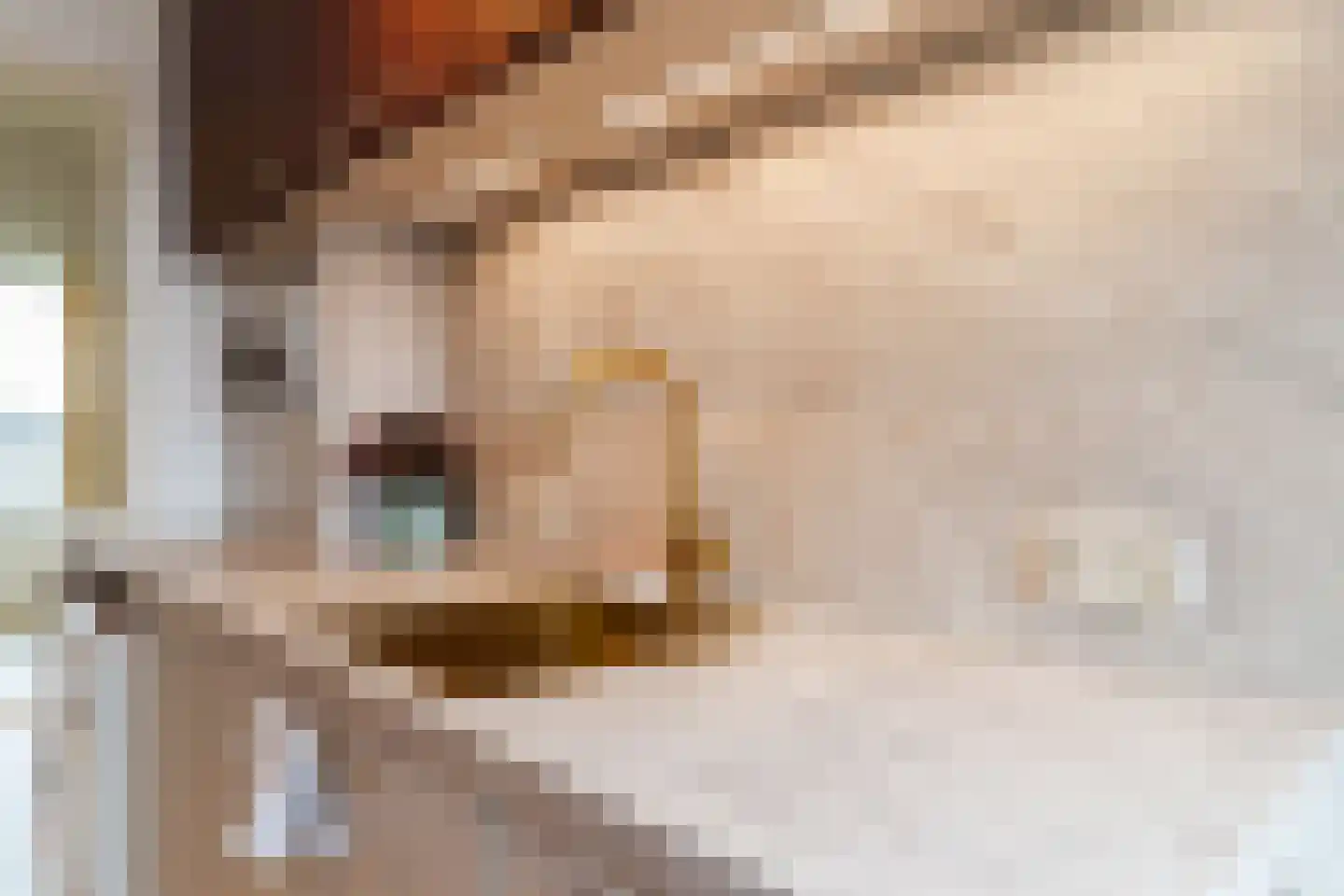 Tolsteegplantsoen 51 3 Utrecht thumbnail 10