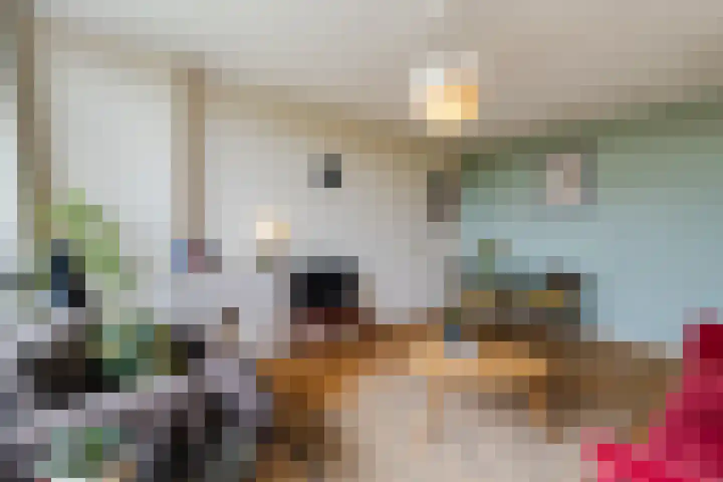 Tolsteegplantsoen 51 3 Utrecht thumbnail 12