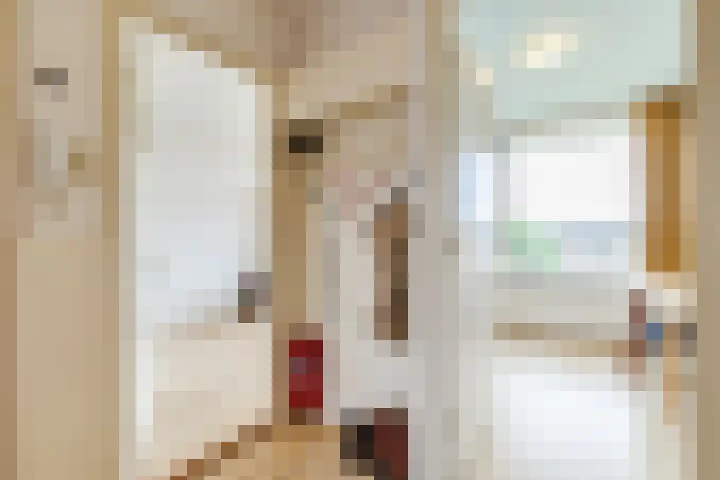 Tolsteegplantsoen 51 3 Utrecht thumbnail 14