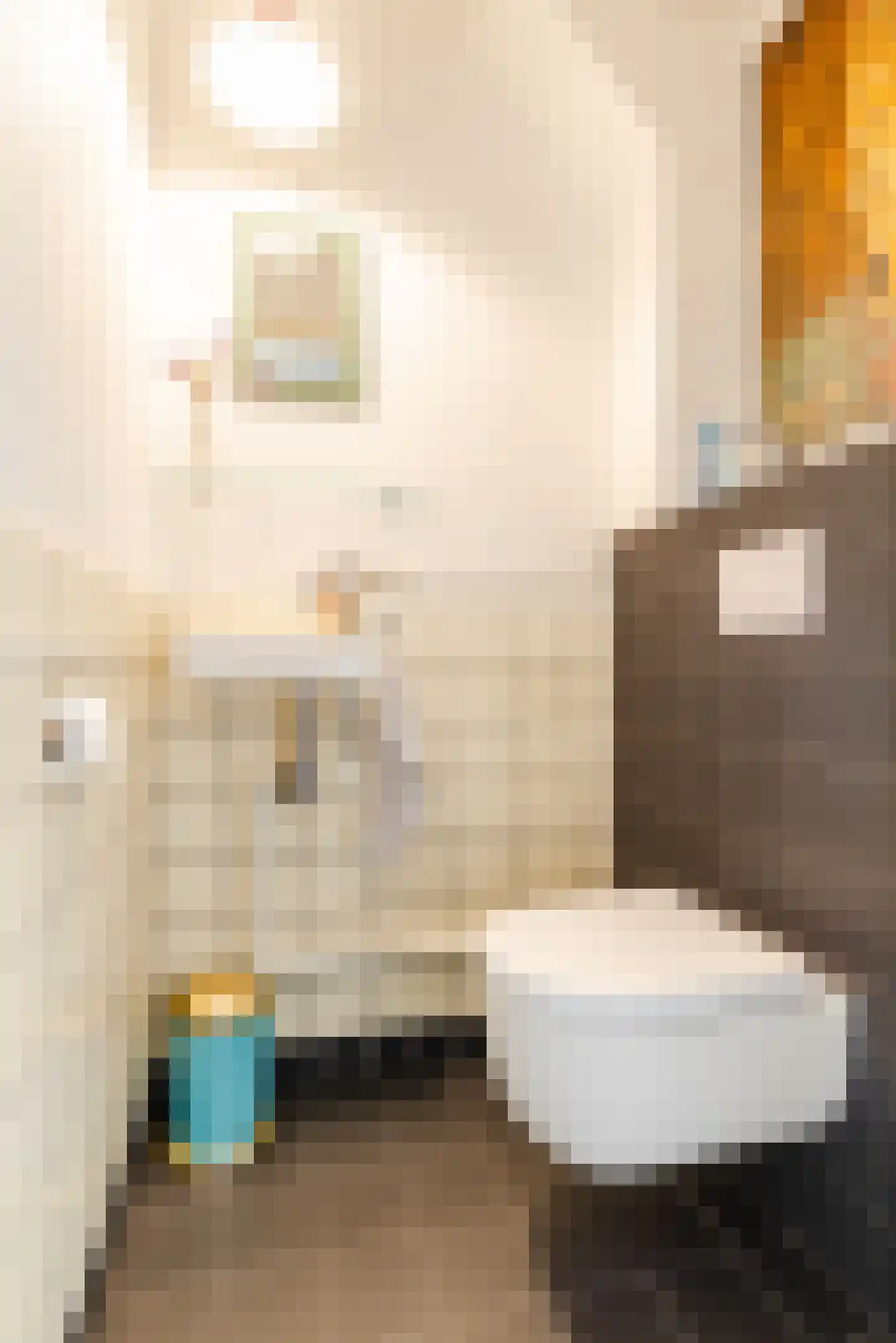 Tolsteegplantsoen 51 3 Utrecht thumbnail 16